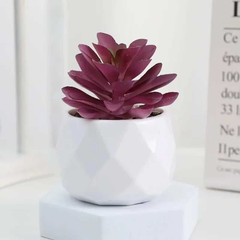 Artificial Succulent Bonsai Set Eco-Friendly – Realistic Mini Cactus Plants for Desk, Home & Wedding Table Decor