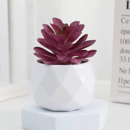 Artificial Succulent Bonsai Set Eco-Friendly – Realistic Mini Cactus Plants for Desk, Home & Wedding Table Decor