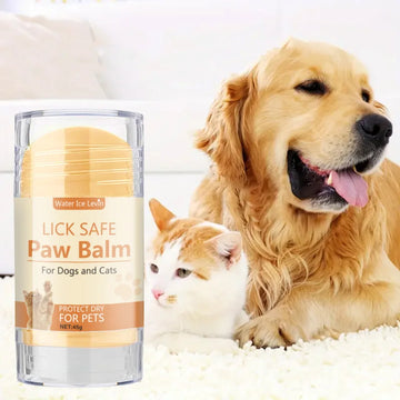 Pet Paw Balm with Honey & Coconut Oil for Cracked Paws