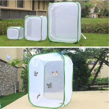 Collapsible Mesh Insect Breeding Cage for Butterflies & Small Insects