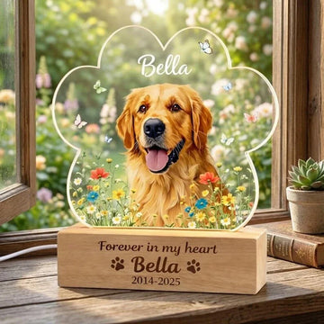 Personalized Pet Memorial Night Light with Photo & Name