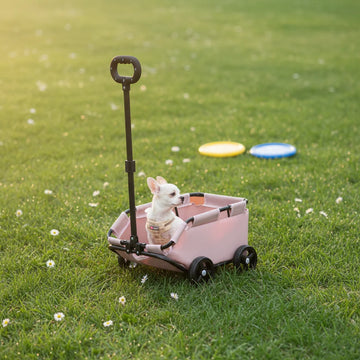 4-Wheel Foldable Pet Stroller for Dogs & Cats