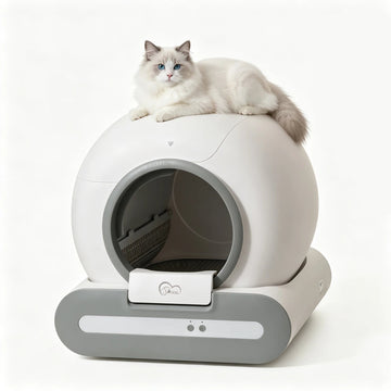 DOEL 2026 Smart Self-Cleaning Cat Litter Box – 65L, App & 2.4G WiFi