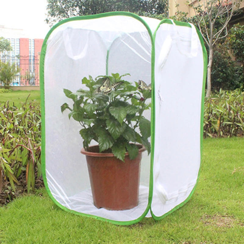 Collapsible Mesh Insect Breeding Cage for Butterflies & Small Insects