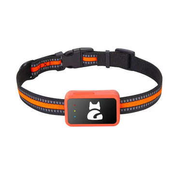 4G GPS Tracker For Hound Dog Collar