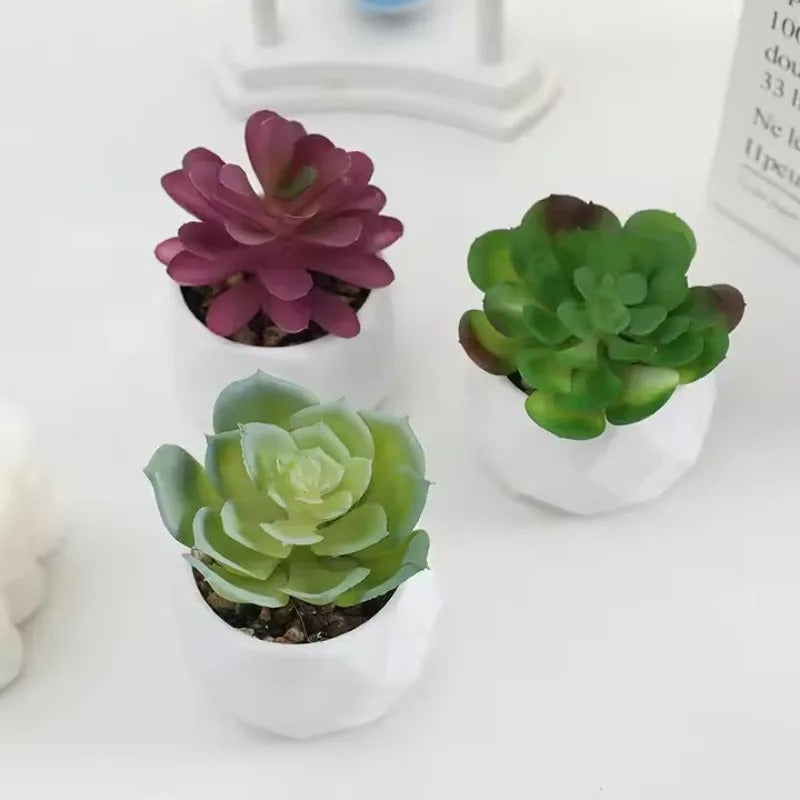 Artificial Succulent Bonsai Set Eco-Friendly – Realistic Mini Cactus Plants for Desk, Home & Wedding Table Decor