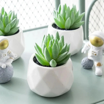 Artificial Succulent Bonsai Set Eco-Friendly – Realistic Mini Cactus Plants for Desk, Home & Wedding Table Decor