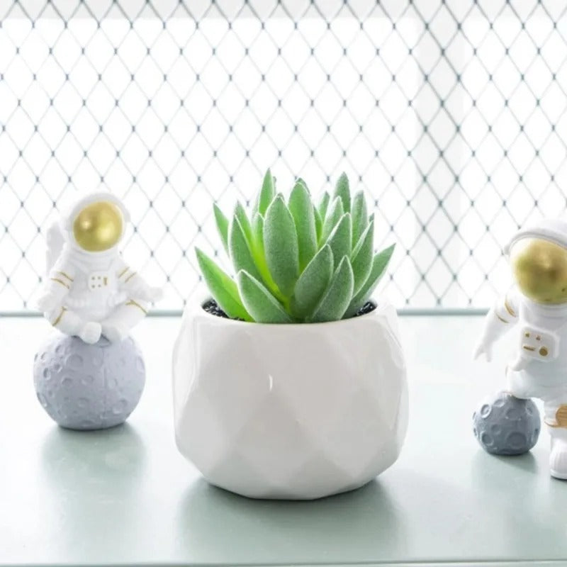 Artificial Succulent Bonsai Set Eco-Friendly – Realistic Mini Cactus Plants for Desk, Home & Wedding Table Decor