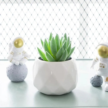 Artificial Succulent Bonsai Set Eco-Friendly – Realistic Mini Cactus Plants for Desk, Home & Wedding Table Decor