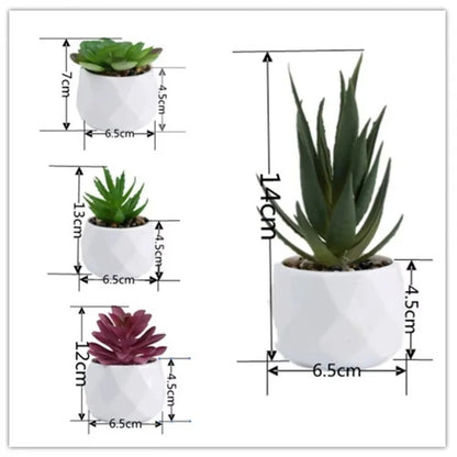 Artificial Succulent Bonsai Set Eco-Friendly – Realistic Mini Cactus Plants for Desk, Home & Wedding Table Decor