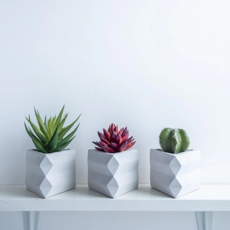 Artificial Succulent Bonsai Set Eco-Friendly – Realistic Mini Cactus Plants for Desk, Home & Wedding Table Decor