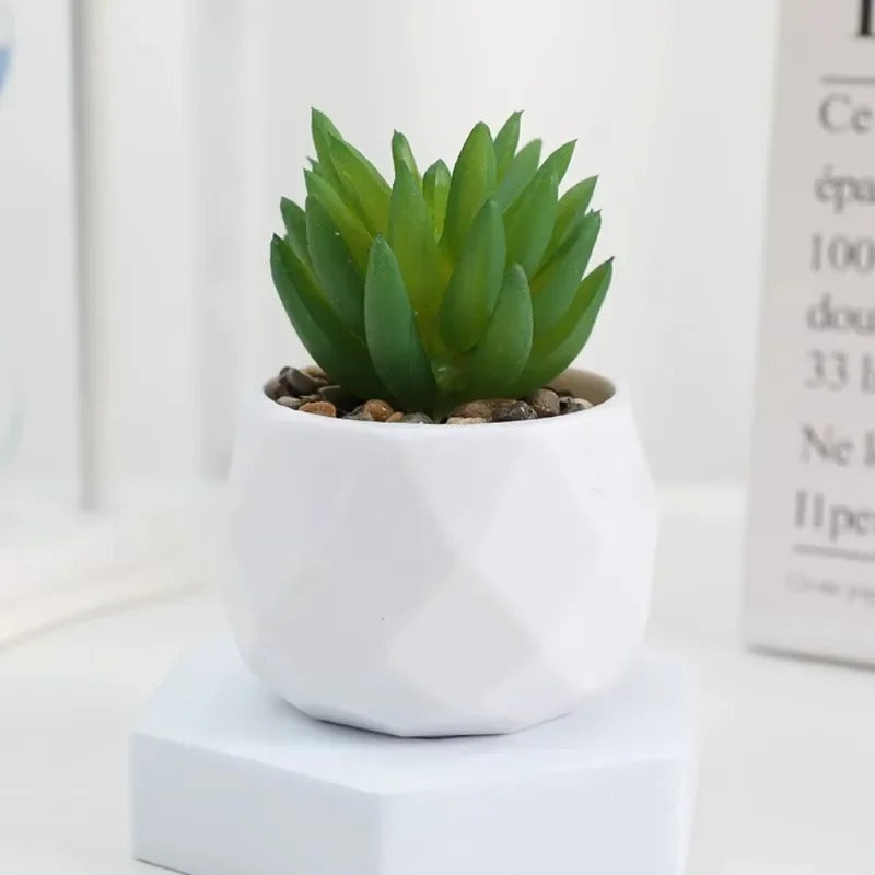 Artificial Succulent Bonsai Set Eco-Friendly – Realistic Mini Cactus Plants for Desk, Home & Wedding Table Decor