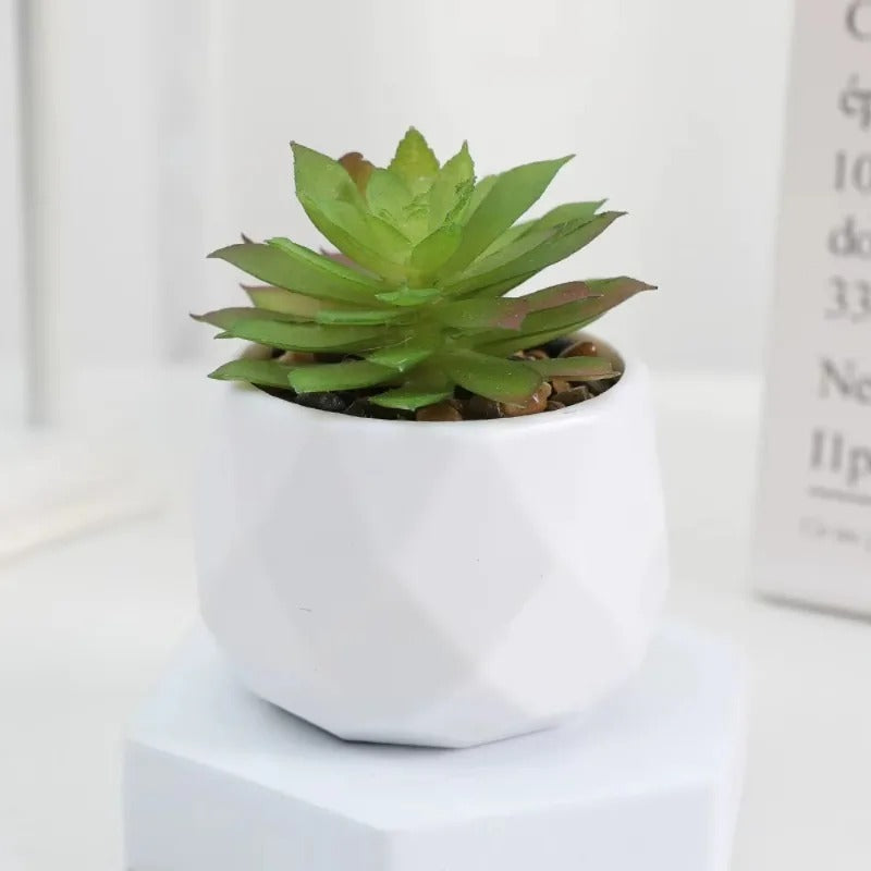 Artificial Succulent Bonsai Set Eco-Friendly – Realistic Mini Cactus Plants for Desk, Home & Wedding Table Decor